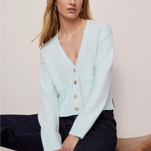 Ann Taylor Soft Blue Button-Up Cardigan